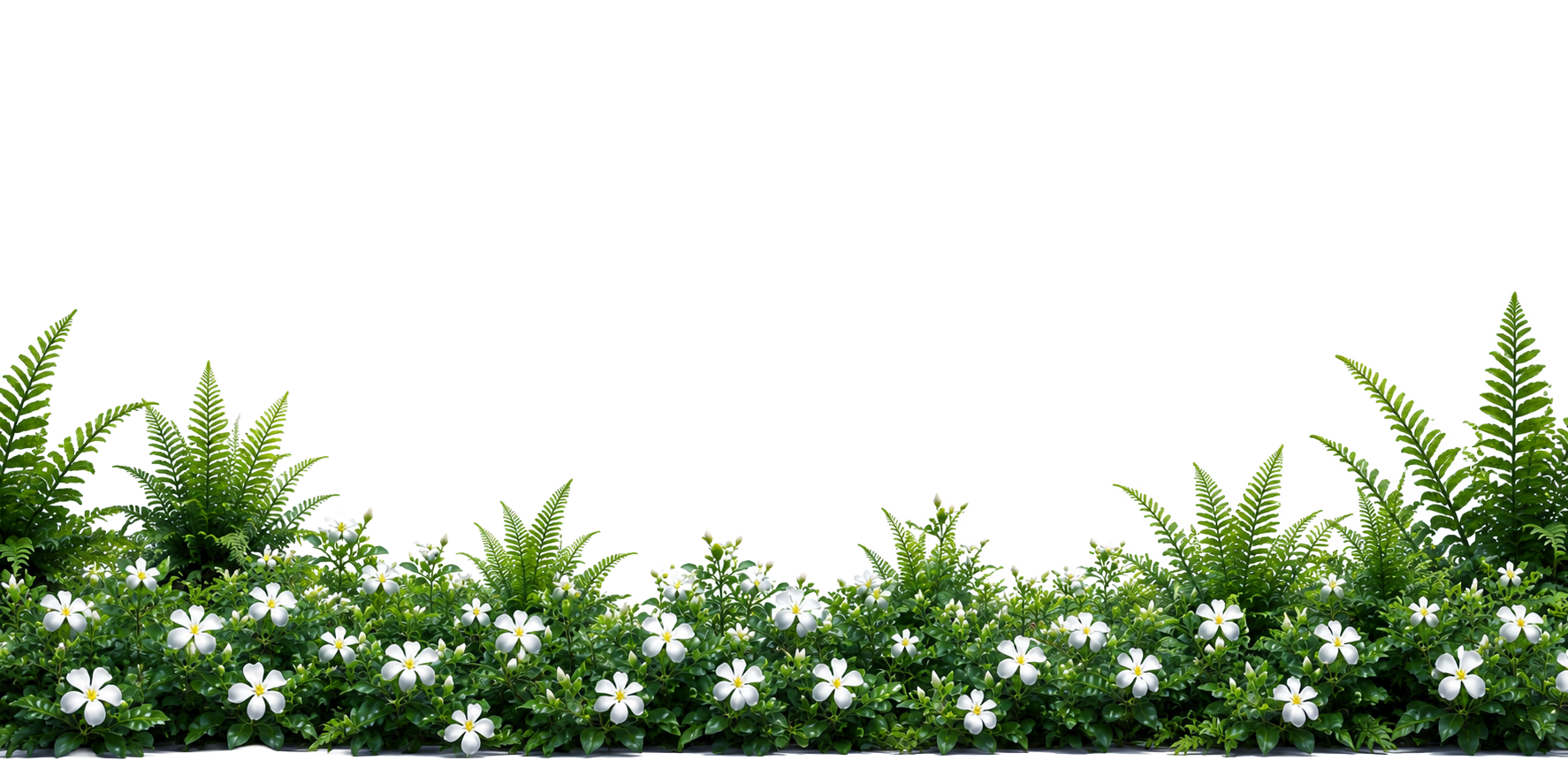 bottom foliage