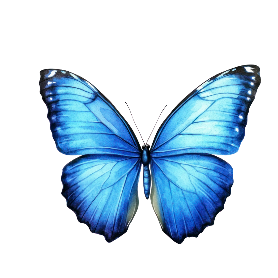blue butterfly